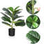 Figuier artificiel Adcock, plante dans un panier, plante verte, arbre artificiel-1180017145