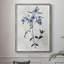 Harlequin Botanical III, reproduction encadrée - bois massif 43529-1302701114