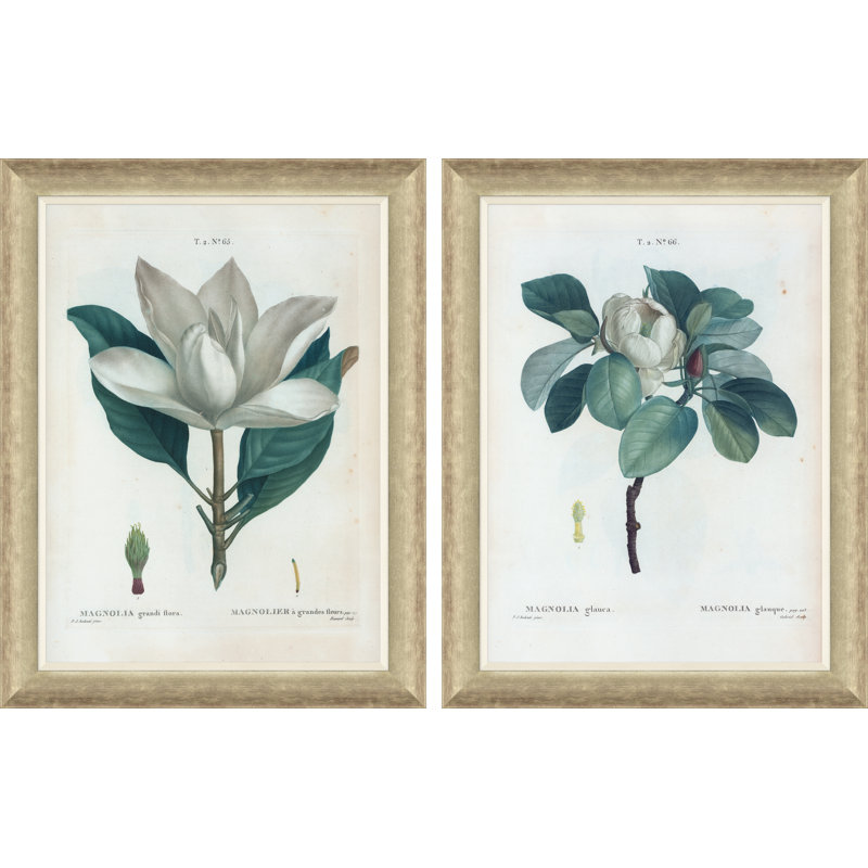 Magnolias Giclee Print by Paul Cezanne