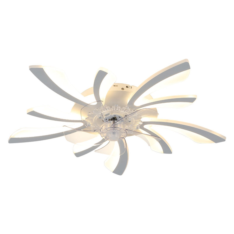 Ceiling Fan with LED Lights