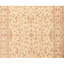 Oriental Area Rug