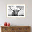 Highland Cow On The Ranch by Andre Eichman-506149611-506149604