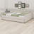 Upholstered Platform Bed With USB And Trundle Bed-950120466