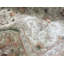 Hand-Knotted High-Quality Beige Area Rug