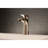 Millennium Single Hole Bathroom Faucet with Drain Assembly-28237116