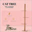 Arbre à chat, centre d'activités pour arbre à chat-777096951-777096950