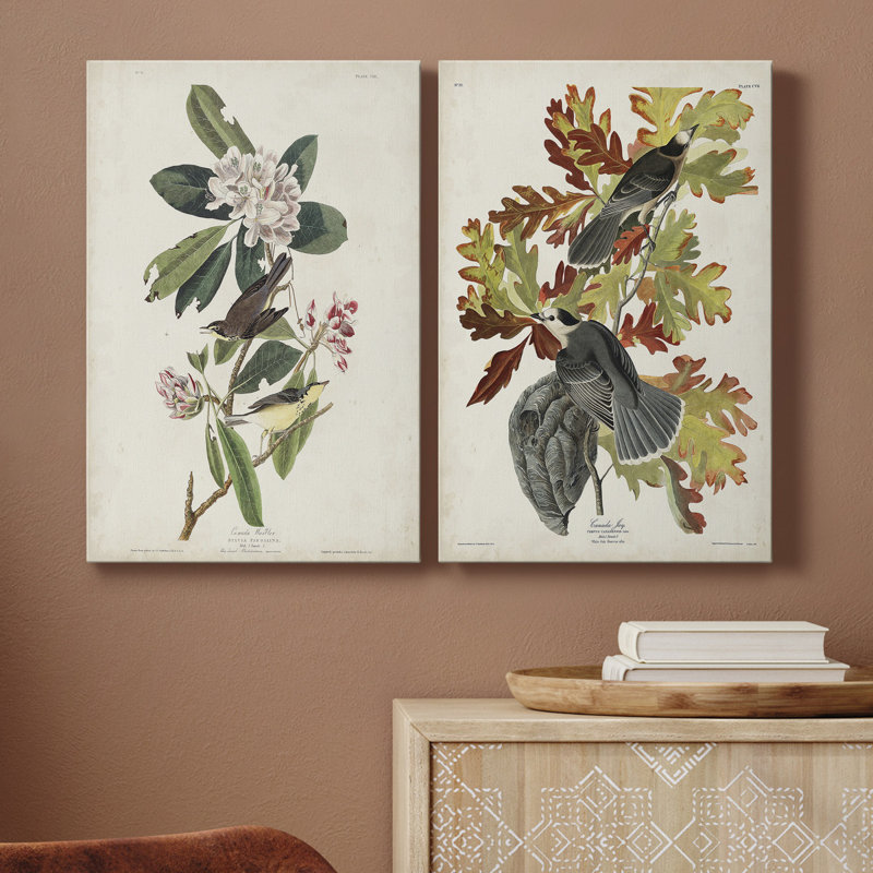 Pl 103 Canada Warbler - Toile tendue avec châssis de qualité supérieure - prête à être accrochée, H 27 po x l 16 po x P 1 po