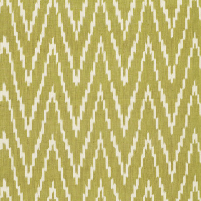 Kasari Ikat Fabric