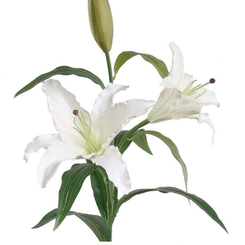 Arrangement de lis Rudolph