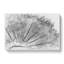 Dandelion Seeds Vol.8 Sketch - Wrapped Canvas-64024393