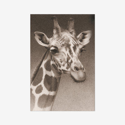 Jean The Giraffe (P) by Robert L. Caldwell, Jr. - Print