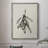 Mistletoe Sketch II Framed Print - Solid Wood-230631555