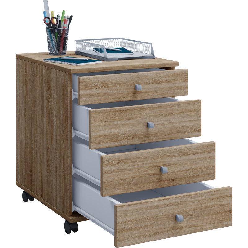 Rayiona 42cm Wide File Cabinet, 50cm H x 42cm W x 57cm D, Brown
