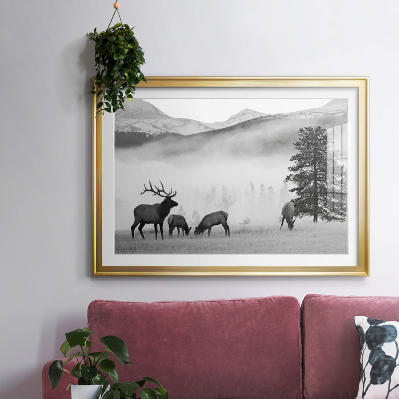 Mountain Elk, reproduction d'art encadrée sur papier, Or, H 27 po x l 39 po x P 1,5 po