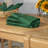 Aurora Buffet 12 Piece Cotton Napkin Set-21962743