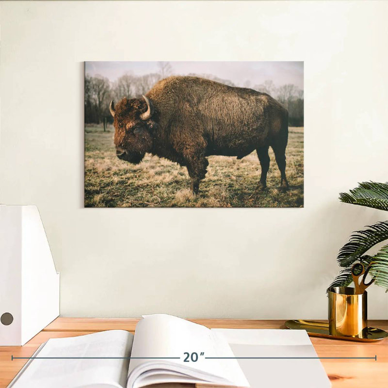 Solitary Bison IV, 8" H x 12" W