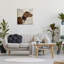 Portrait d'un chien pointeur regardant, Keri Rodgers-69574675-69574679