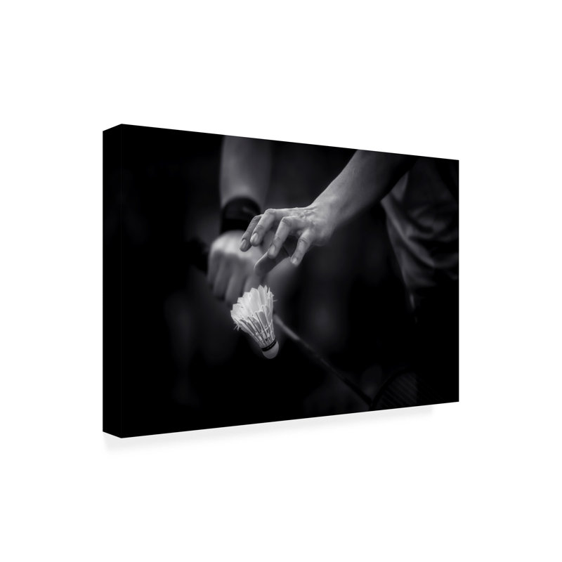 Art sur toile bolologique Larry Deng, H 16 po x l 24 po