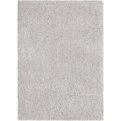 Indoor Rug