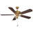 52" Cayman 5 - Blade Standard Ceiling Fan in Brown with Pull Chain and Light Kit Included-1829122833