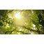 Presse-agrumes Kuvings Evo-59366801