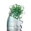 Plants & Flowers Decorative Object
