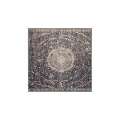 Machine Washable Gray Area Rug