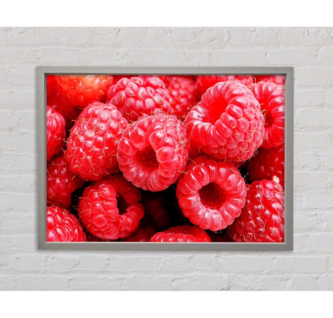 Raspberry Delight - Einzelner Bilderrahmen Kunstdrucke auf Leinwand