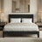Allyannah Levison Platform Bed With Headboard-1765388939-1776117669