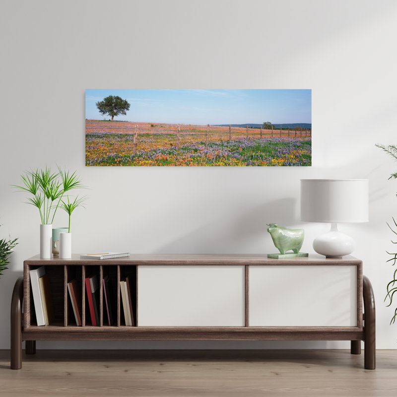 Texas Bluebonnets et pinceaux indiens dans un champ, Texas Hill Country, Texas, États-Unis, H 12 po x l 36 po