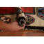 Tapis rouge tribal Gabbeh 4 x 6