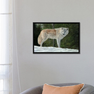 «Gray Wolf in Snow», impression sur toile