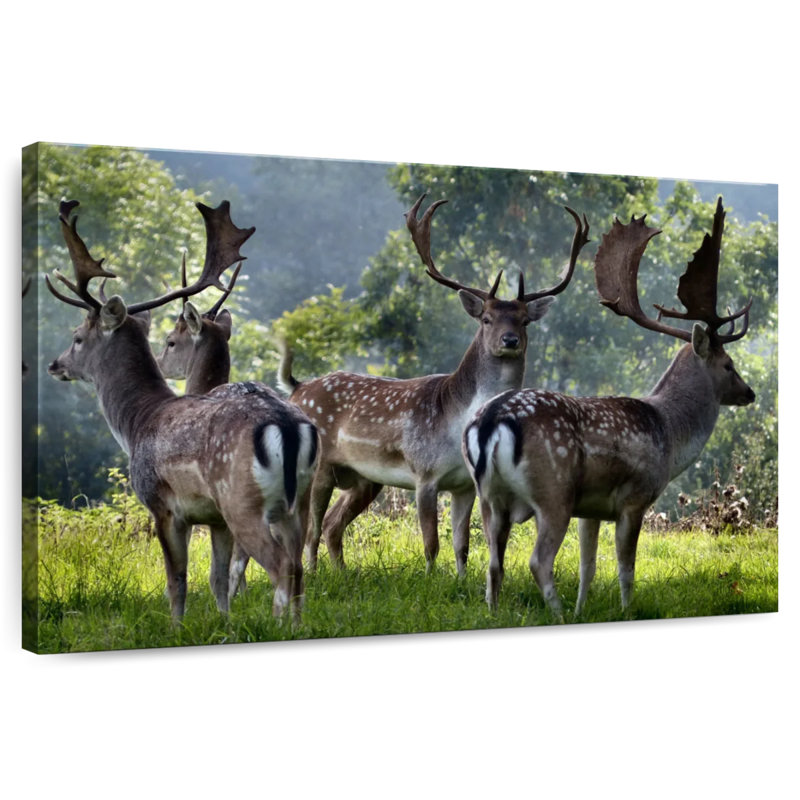 Brampt Deer Alliance, 8" H x 12" W
