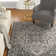 Donivin Performance Oriental Indoor/Outdoor Area Rug
