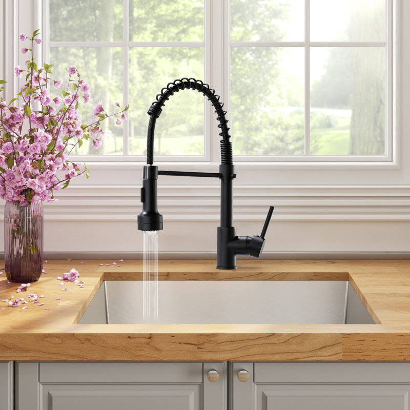 FLG Pull Down Kitchen Faucet
