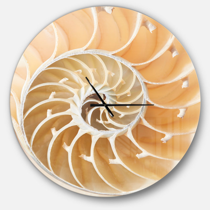 Motif de coquillage brun Nautilus - horloge murale moderne, Grand