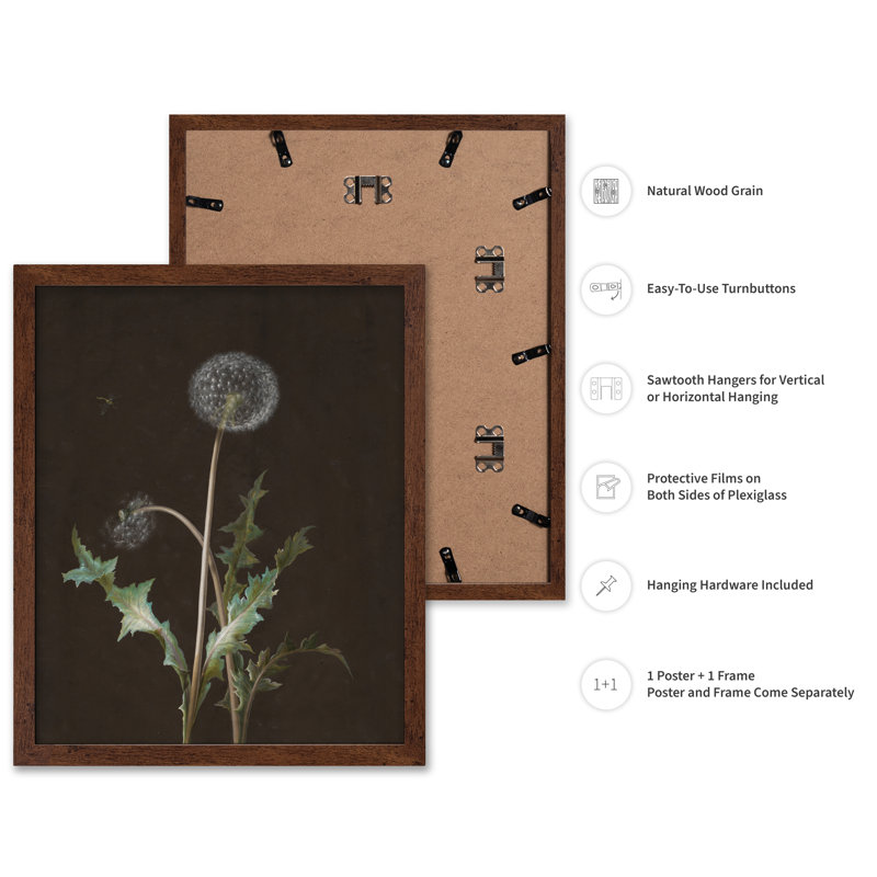 Pissenlit, Affiche, H 08 po x l 10 po, Encadrement brun