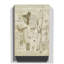 Leonardo Da Vinci - Wrapped Canvas-19061704