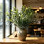 Ensemble de branches d'olivier et de tiges d'eucalyptus artificielles, tiges de verdure artificielle, 4 branches d'olivier et 12 tiges d'eucalyptus pour vase, décoration champêtre, maison, mariage