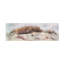 Art sur toile bolologien, Oregon Outback-104136375