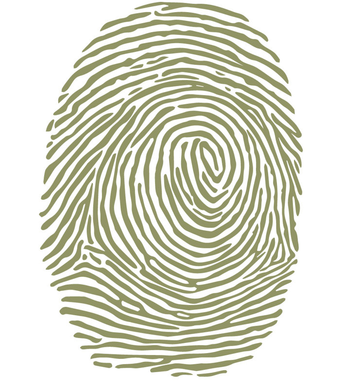 Décalcomanie murale à empreinte digitale, Olive, H 30 po x l 21 po x P 0,01 po