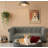 Durable Elevated Dog Sofa Bed-121424589