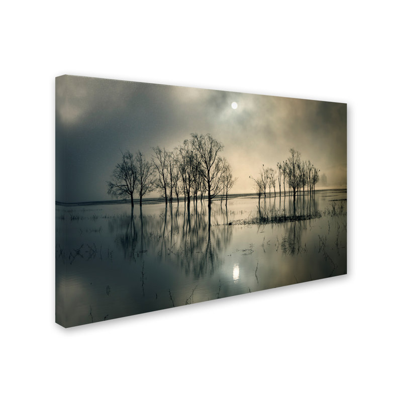 « lacs secrets », reproduction de photo sur toile tendue, H 12 po x l 19 po