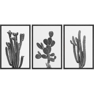 «Southwest Desert Cactus Nature Floral», ensemble de 3 impressions sur toile