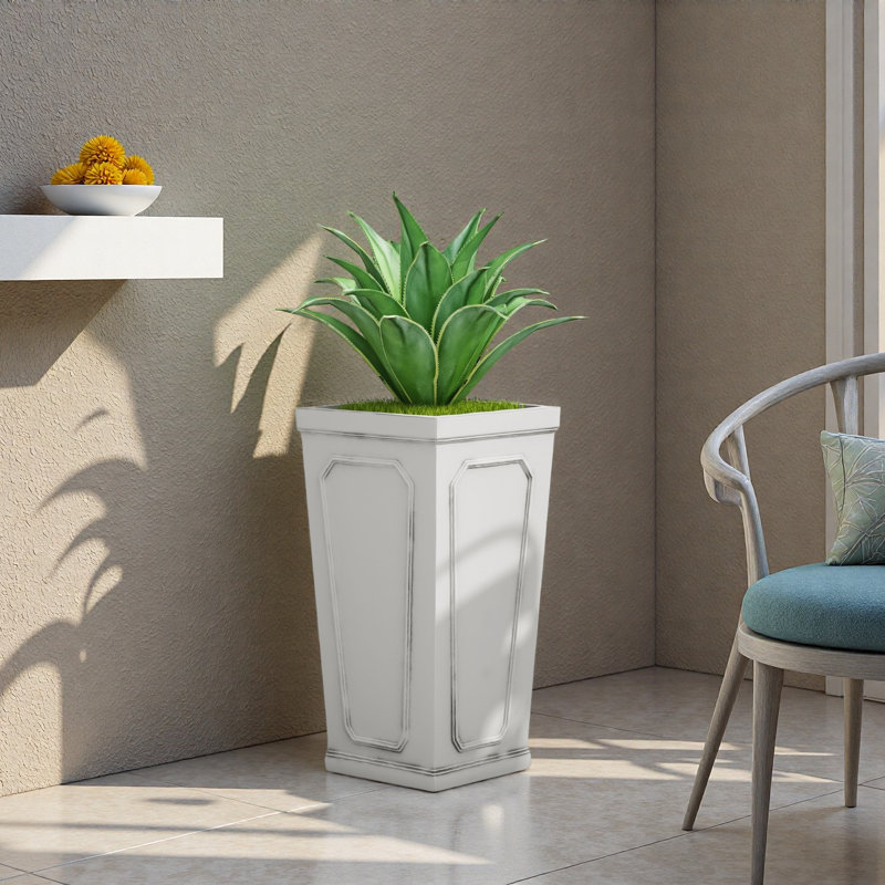 MGO PLANT