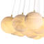 Sphinx 19 - Light Pendant