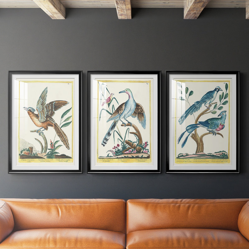 «Pastel Birds IV», reproduction encadrée de qualité supérieure - prête à être accrochée, Cadre noir
