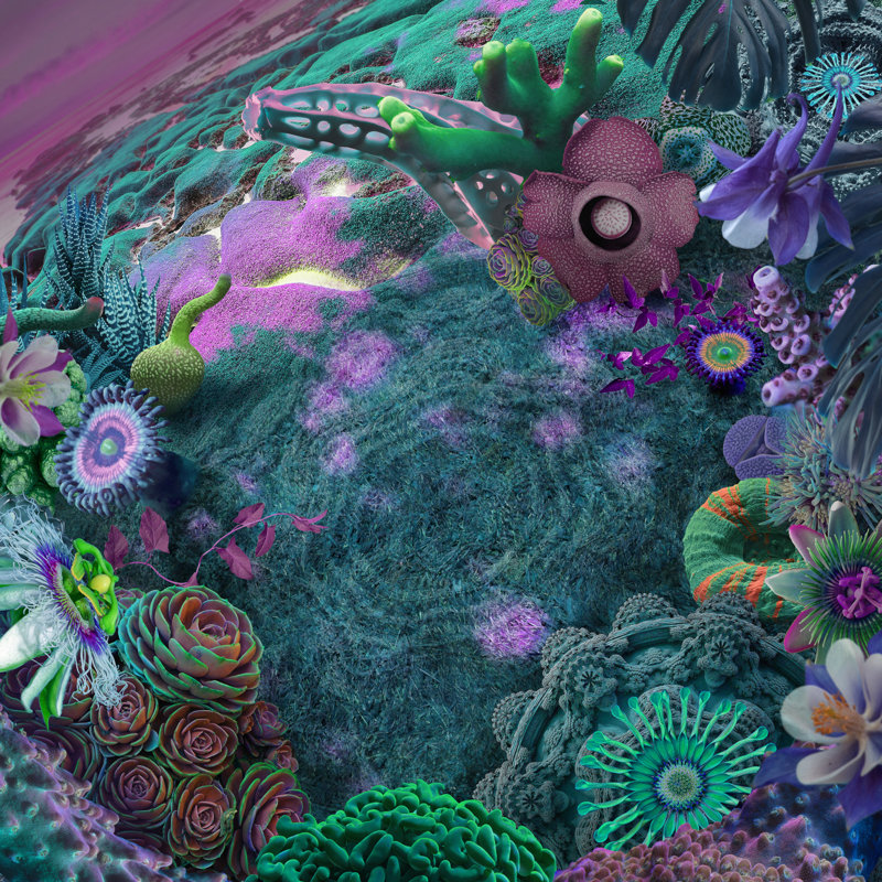 Surreal Garden Background by Vizerskaya - Wrapped Canvas Print, Dark Aqua, 51cm H x 51cm W x 3.8cm D