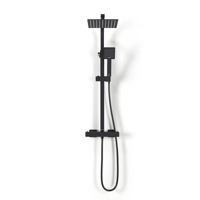 Resnick Thermostatic Shower with Dual Shower Head