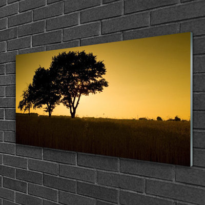 Nature Trees - No Frame Print on Glass